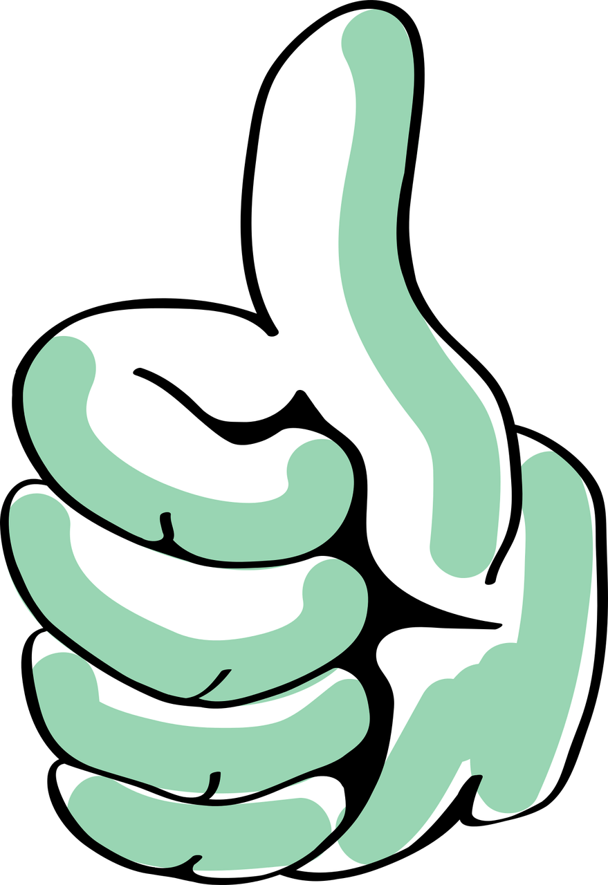Si